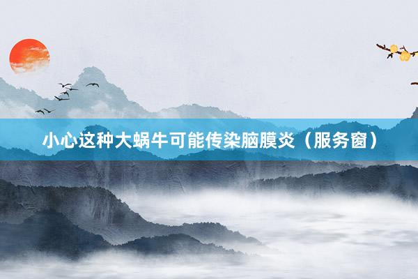 小心这种大蜗牛可能传染脑膜炎（服务窗）