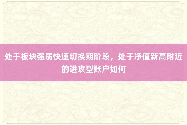 处于板块强弱快速切换期阶段，处于净值新高附近的进攻型账户如何