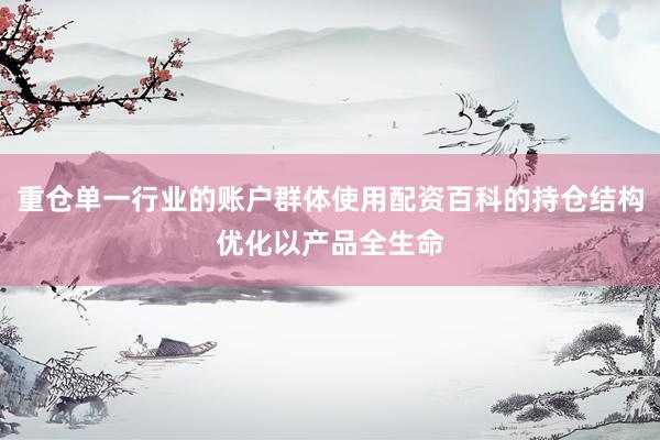 重仓单一行业的账户群体使用配资百科的持仓结构优化以产品全生命