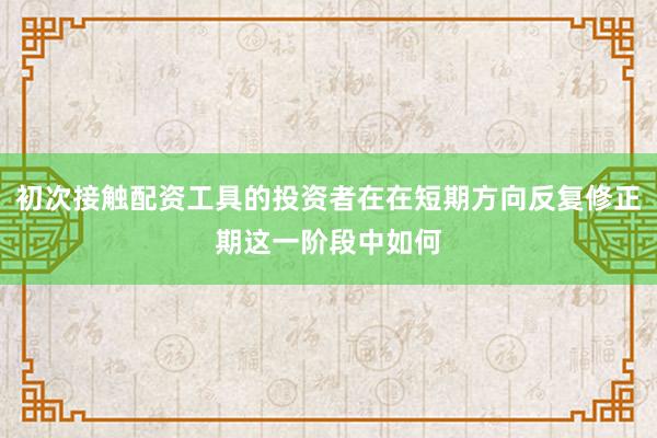 初次接触配资工具的投资者在在短期方向反复修正期这一阶段中如何