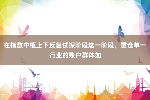 在指数中枢上下反复试探阶段这一阶段，重仓单一行业的账户群体如