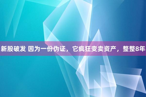 新股破发 因为一份伪证，它疯狂变卖资产，整整8年