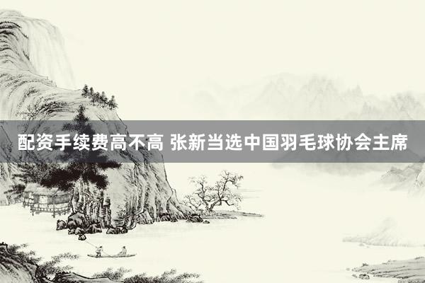 配资手续费高不高 张新当选中国羽毛球协会主席