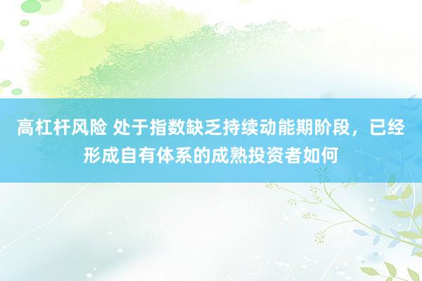 高杠杆风险 处于指数缺乏持续动能期阶段，已经形成自有体系的成熟投资者如何