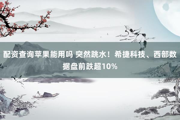 配资查询苹果能用吗 突然跳水！希捷科技、西部数据盘前跌超10%